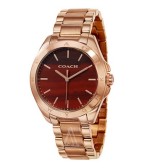 Coach蔻驰Tristen 女士镀金石英表 $98（约637元）
