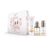 送面膜，Dr.Hauschka德国世家极致玫瑰套装 £23.6（约219元）