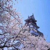 乐天国际：部分店铺满15000日元起免费直邮中国+使用神秘优惠码满10000日元减1000日元