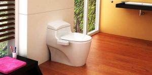 Bio Bidet Simplet Bidet Attachment 简约版电子坐便器