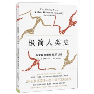 《极简人类史：从宇宙大爆炸到21世纪》   