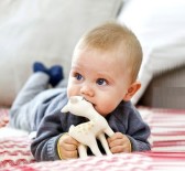 Gilt Groupe：Sophie la Girafe、aden + anais 等宝宝用品低至7折