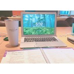 2015款 Apple 13.3