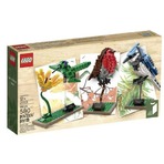 销量冠军！乐高LEGO Ideas系列21301鸟类模型套装