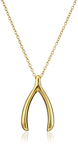 无税直邮！Sterling Silver 18寸许愿骨项链
