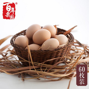 百年栗园 有机柴鸡蛋礼箱 60枚