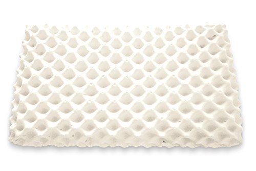 泰国进口：ECOLIFELATEX 100%纯天然 乳胶枕 双面按摩枕  369元（738元，下单5折）