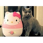 Crane Hello Kitty造型1加仑容量加湿器