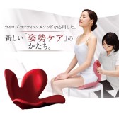 日亚：论正确坐姿的养成方式——MTG Body Style 坐垫系列