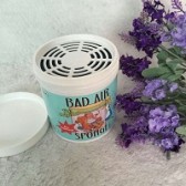 Bad Air Sponge 空气净化剂 $10.49（约74元）