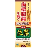 小林制药 生叶中药防牙周病牙龈出血牙膏100g 783日元（约49元）