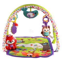 Fisher- Price 费雪 音乐丛林健身器（2件5折）