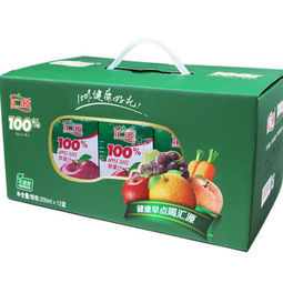 汇源 100%苹果汁礼盒装 200ml*12