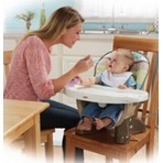 Fisher-Price费雪SpaceSaver婴儿两用就餐椅（stripes款） 2015 Baby Center推荐产品