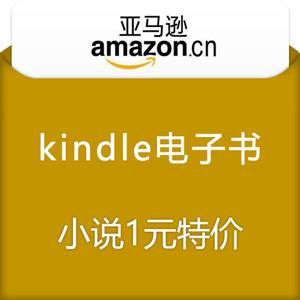 亚马逊 kindle电子书 小说文学
