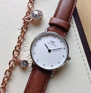 Daniel Wellington Classy 施华洛世奇水晶小表盘女表 0920DW