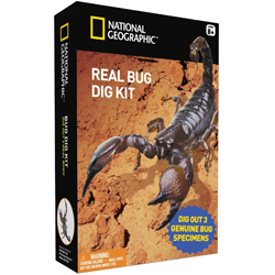 已过期亚马逊中国 National Geographic Real Bug Dig Kit 国家地理 昆虫考古挖掘模型套装（精装）