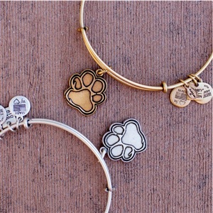 Amazon.com：Alex and Ani 复古可扩展手镯