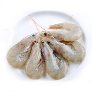 GUOLIAN 国联 进口冰冻厄瓜多尔白虾 1.8kg（约50-60只）