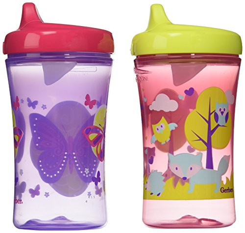 Gerber 嘉宝 Spout Sippy Cup 硬吸管学饮杯 300mlx2个