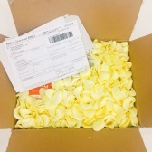 Be&Cheery 百草味 东北松子 200g