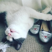 Neiman Marcus：Charlotte Olympia 正价猫咪鞋等 满减高达$100！