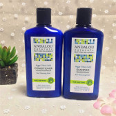 Andalou 摩洛哥坚果干细胞防脱洗发水340ml  $7.79（约55元）