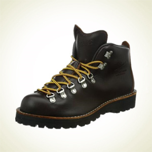 Amazon.com：Danner 丹纳 Mountain GTX Light 男款户外靴