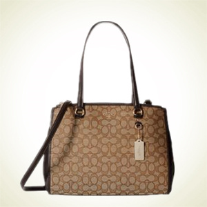 6PM：COACH Signature Stanton Carryall 手提斜挎包