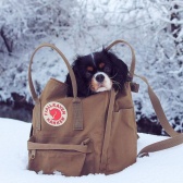 【网络折扣周】Mybag：Fjallraven 北极狐 少女心爆棚的可爱双肩包 78折！