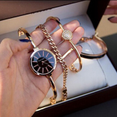 Anne Klein 安妮克莱恩手表手镯套装 $89.99（约652元）