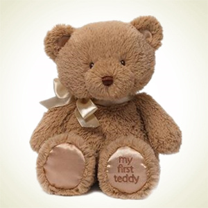 Amazon.com：送礼好选择！Gund My First Teddy Bear 毛绒泰迪熊玩具