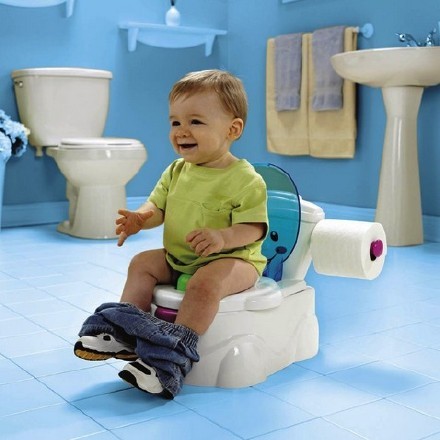 费雪牌（Fisher-Price） V2728 宝宝嘘嘘好伙伴 带音乐音效 方便清洗 ￥149