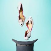 Macy's ：精选COAH、Steve Madden 等女鞋1双额外75折，2双7折，3双6折！