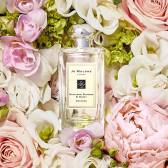 Jo Malone 官网：任意订单送牡丹胭脂麂绒香水小样 9ml+免邮！