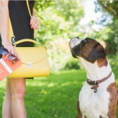 Shopbop：精选 小清新学院风 Cambridge Satchel 剑桥包 低至6折！