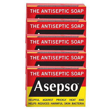 亚马逊中国 Asepso安施露 抑菌洁肤皂 80g*5个