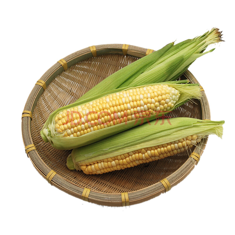 绿鲜知 水果玉米 3根装 约1000g 9.9元，日常22.8元