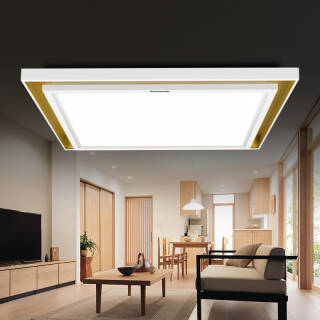 松下（Panasonic） HHLA5057 LED吸顶灯 宫之歌 79W 999元
