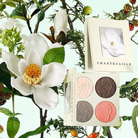 lookfantastic英国官网 Chantecaille 香缇卡 美妆护肤专场 	 用码享受9折优惠