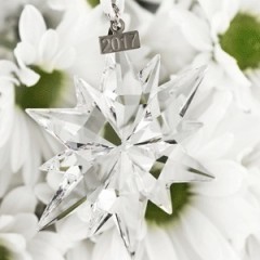 SWAROVSKI 施华洛世奇 2017 限量雪花 5257589 水晶挂饰