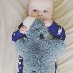 宝宝伴睡萌宠|Flatout Bear 纯羊皮毛一体手工毛绒扁扁熊 考拉限量款 大号 28cm*24cm