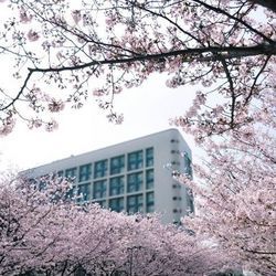 ￥388 弘毅大酒店（武汉大学国际学术交流中心）1晚套餐