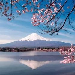 樱花季： 北京/天津-日本东京+富士山+名古屋+伊豆6天5晚跟团游 3082元起/人（用券后）