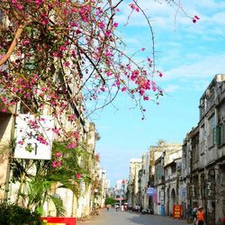 全程高星酒店： 上海-广西北海+涠洲岛4天3晚半自助游 1451元起/人（用券后）