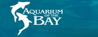 Aquarium of the Bay