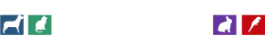 Pet Street Mall