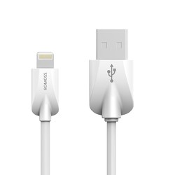 5日0点：                                ROMOSS 罗马仕 iPhone 快充数据线 1米