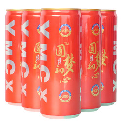 圆梦初心 沙棘汁原浆 310ml*8瓶整箱装