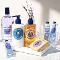 L'Occitane 身体护理大促 收乳木果、樱花护手霜 无门槛8折+免税